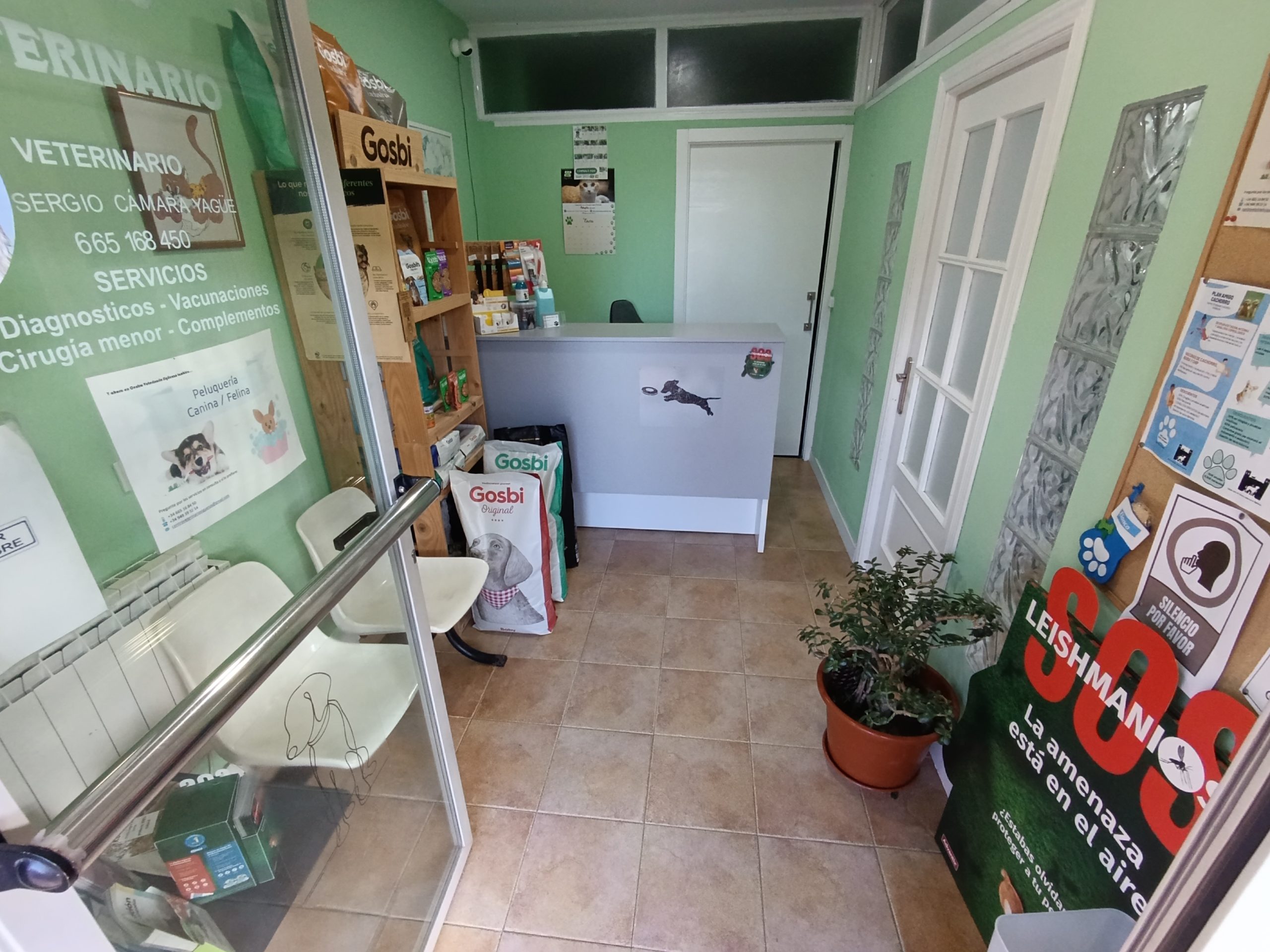 Nuestra Historia Centro Veterinario Siguenza